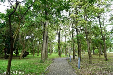 億載公園：百年秘境，台北綠肺