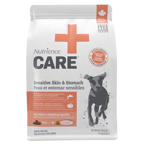 優質營養，賦予 canine 非凡活力：Nutrience 狗糧，健康寵物的首選