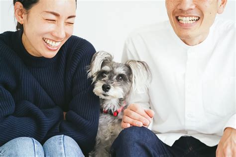 元気いっぱいの犬との暮らし