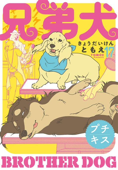 兄弟犬を探そう！完全ガイド