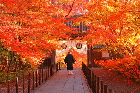 光明寺 京都