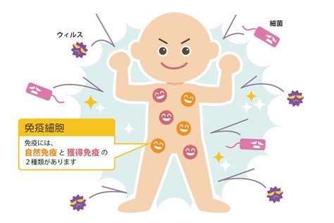 免疫力をアップするサプリメントとは？