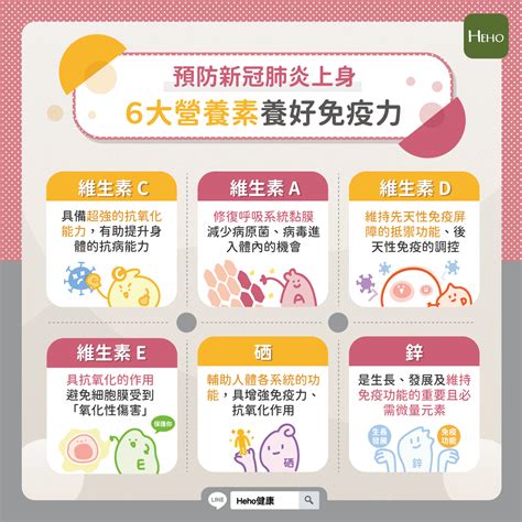 免疫系統調節