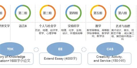 全球大学排名：如何做出明智的选择