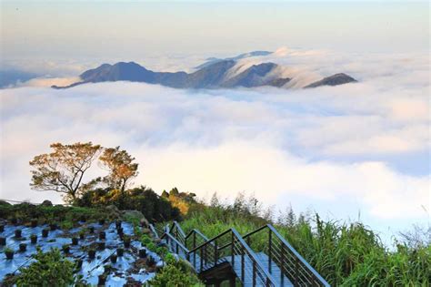 八卦山森林遊樂區：雲海仙境