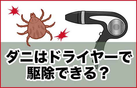 公園でダニに注意！対策と駆除方法を徹底解説