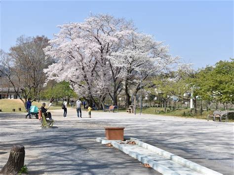 公園の概要