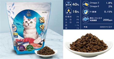 六大優質貓飼料品牌推薦，找出最適合你家毛孩的營養配方