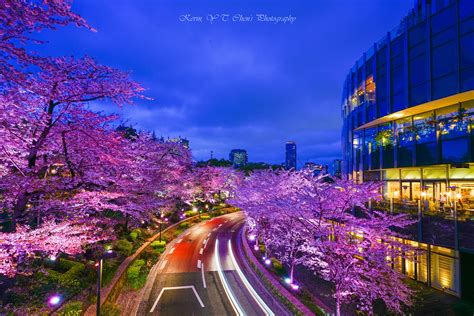 六本木Midtown：東京都會叢林中的都市綠洲