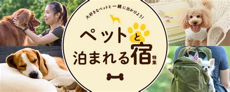 六甲山でペットと一緒に宿泊できるおすすめスポット