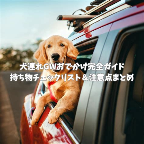 六甲山 【完全ガイド】 犬連れでお出かけするときの注意点やおすすめコースは？