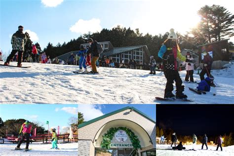 六甲山 滑雪