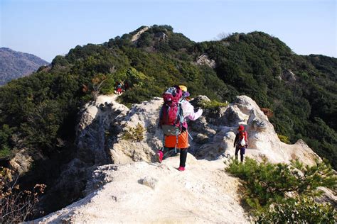 六甲山 犬連れで楽しむハイキング