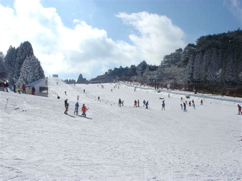 六甲山 雪上 樂園