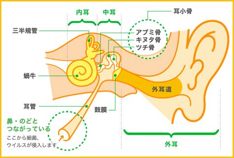 内耳障害