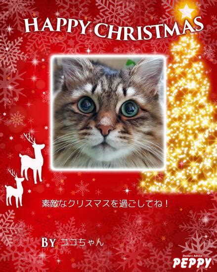 写真入りクリスマスカードで大切な人に特別な思いを伝えよう