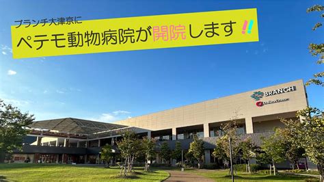 函館大津動物病院で大切なペットの健康を守ろう！