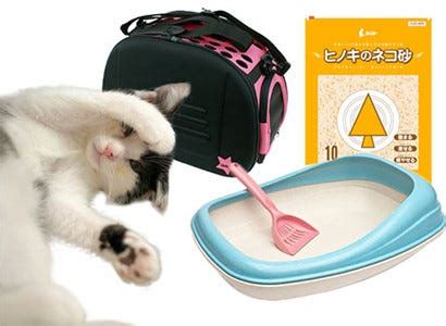 初めての猫セットで必要なものすべて