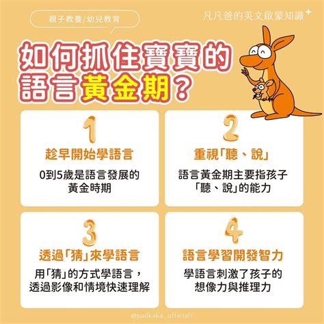 初步接觸：建立語言基礎