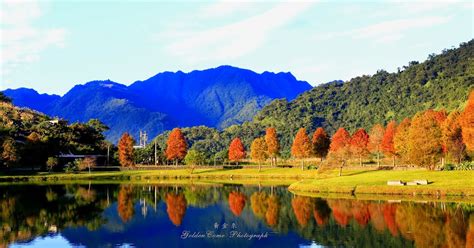 利埤湖：桃園後花園，生態旅遊新天堂