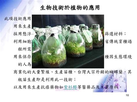 刺剛鬃：一項廣泛應用的生物材料