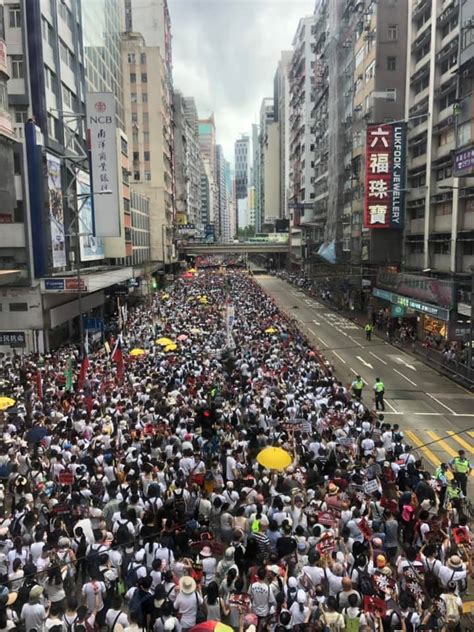 刺蝟仔護國運動，香港人必知的 10 大抗爭事件