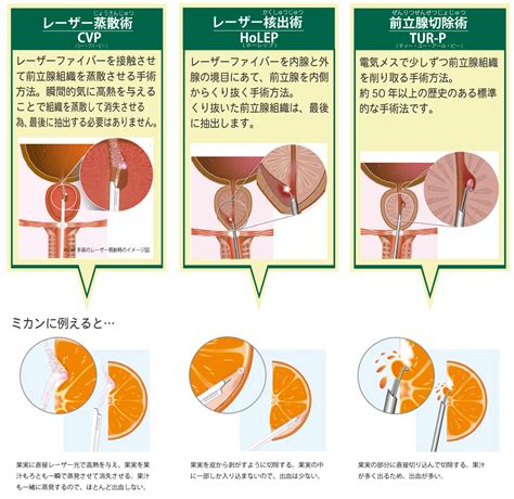 前立腺肥大に悩むワンちゃんを後ろ足から治療する