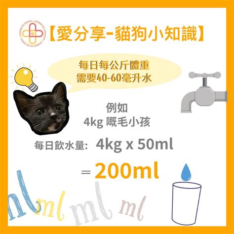 前言：了解愛寵的飲水需求