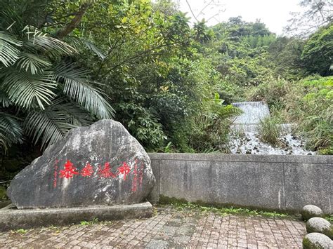 前言：探索麻吉旅遊的魅力