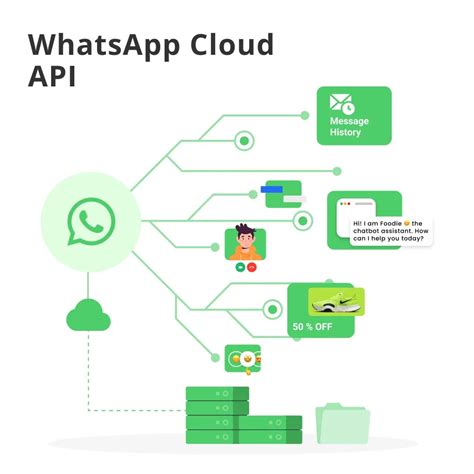 功能解析：WhatsApp 网页版尽在掌握