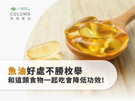 加拿大 魚油 推薦：打造健康體魄，遠離慢性疾病