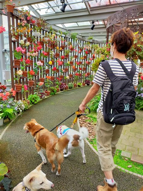 加西フラワーセンターでワンちゃんと過ごす最高の1日