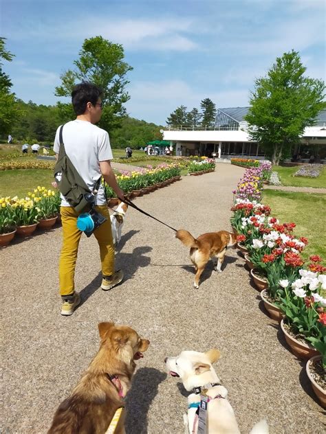 加西フラワーセンターで愛犬と心癒されるひととき