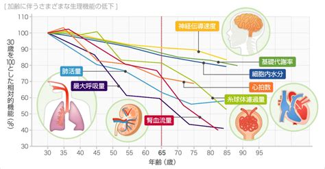 加齢に伴う健康上の変化