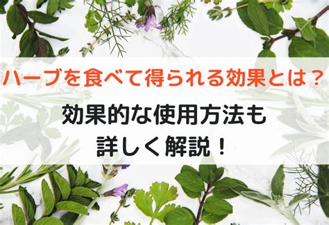 効果的なハーブの活用方法