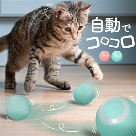 動く猫おもちゃで愛猫の健康と幸せを促進する