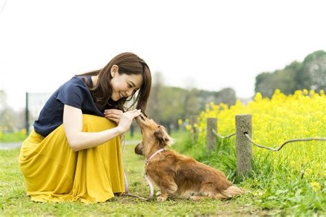 動物から好かれる人になるための秘訣