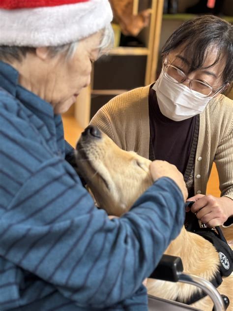 動物とのふれあい: