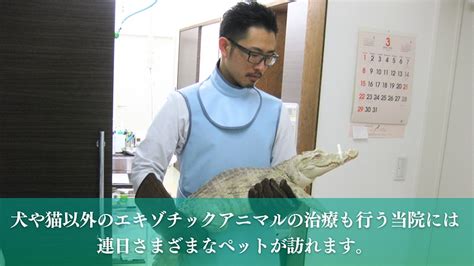 動物に寄り添う医療へのこだわり