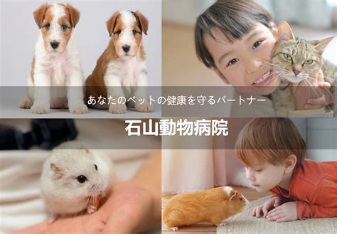 動物の健康を守るパートナー 坂元動物病院