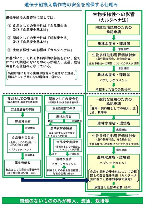 動物の安全を確保する：