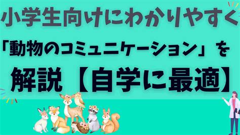 動物コミュニケーション学会