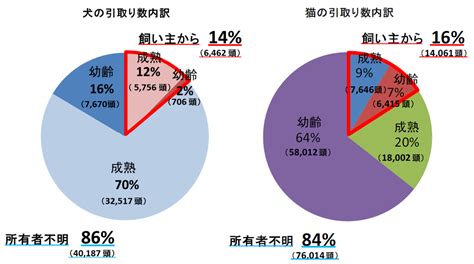 動物収容状況（2022年）