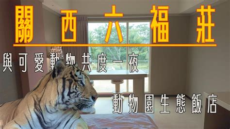 動物園住宿：與野生動物共度一夜冒險