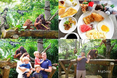 動物園早餐