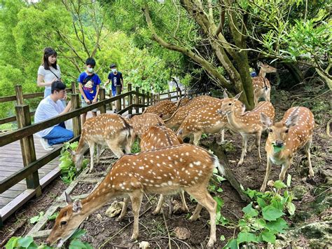 動物園服務時數 10,000+ 萬人次