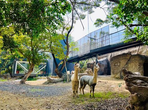 動物園開放時間是什麼時候？