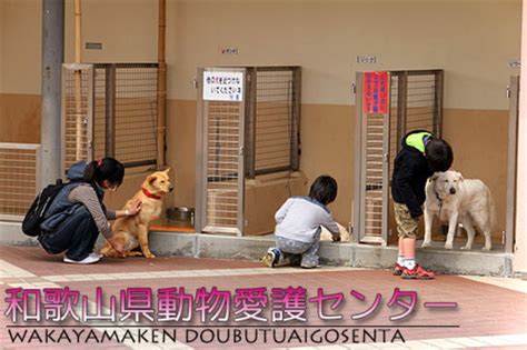 動物愛護センターの役割