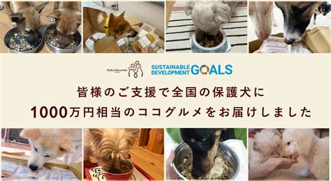 動物愛護団体への登録と認定