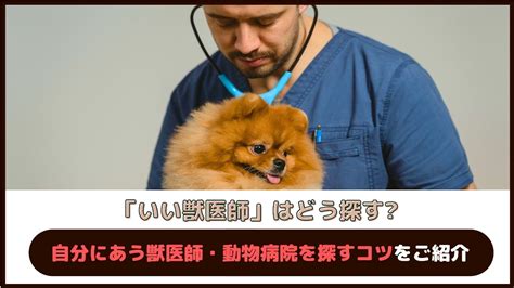 動物病院を探すなら！モリオカで評判のグリーン動物病院がおすすめ！